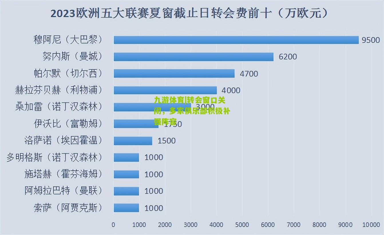 转会窗口关闭，多家俱乐部积极补强阵容