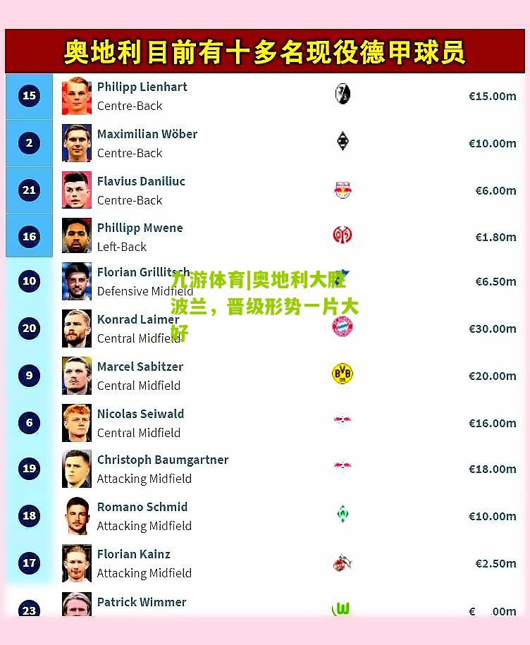 九游体育|奥地利大胜波兰，晋级形势一片大好