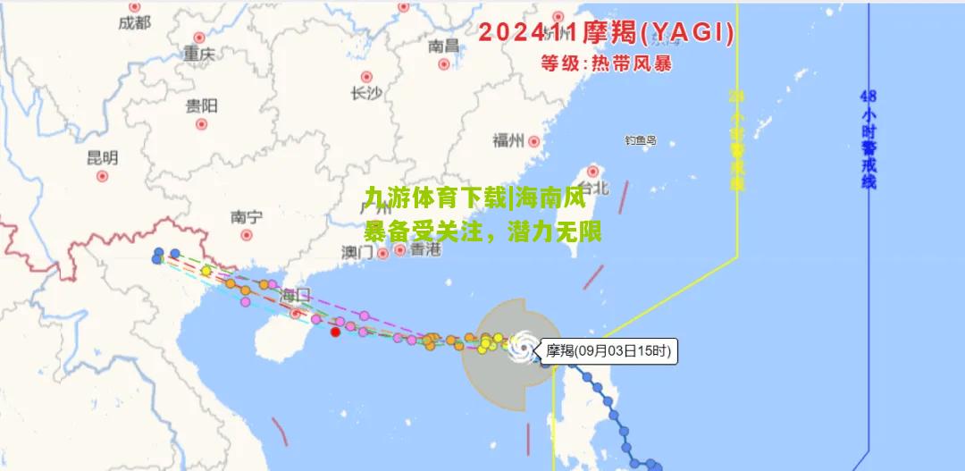 海南风暴备受关注，潜力无限